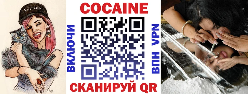Купить закладки Жердевка Кокаин Fish Scale