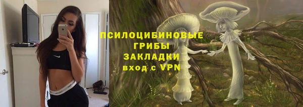 винт Майский