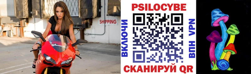 Галлюциногенные грибы ЛСД Купить где Жердевка
